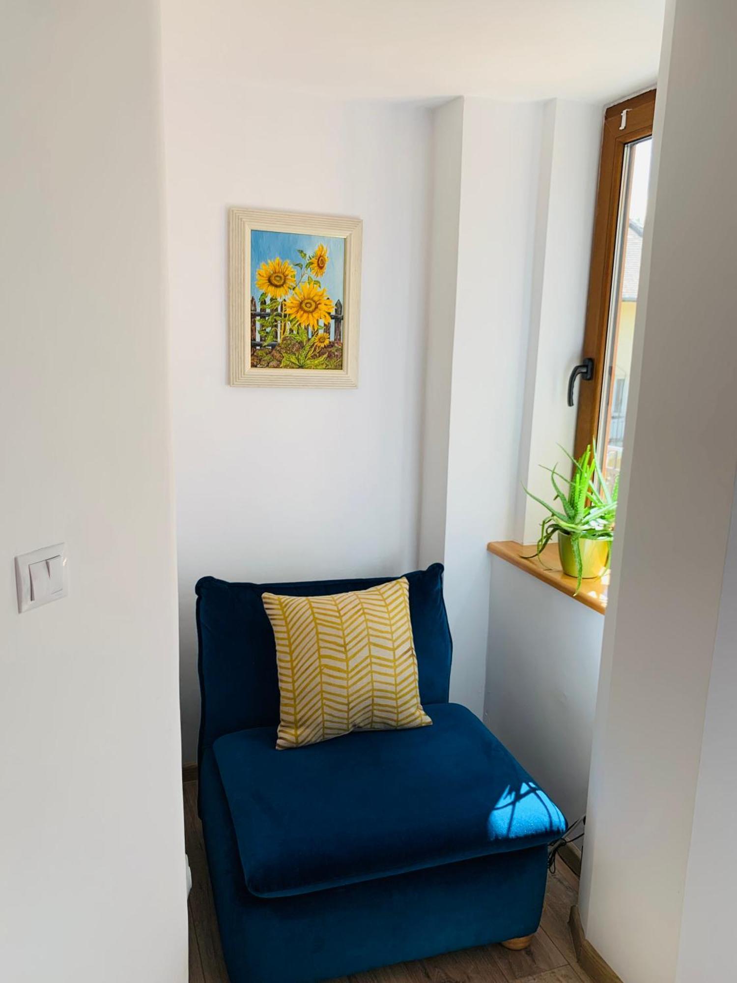 Charming Central Apartments كلوج-نابوكا المظهر الخارجي الصورة